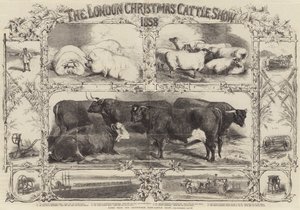 The London Christmas Cattle Show of 1858